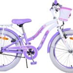 Lovely Fuxia Vélo pour Fille de 6 à 8 Ans 20 Pouces avec Panier et Porte-Bagages