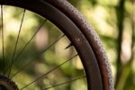 Reserve Paire de Roues - 40 | 44 GR - DT 350 - 28" | Carbon | Clincher | Centerlock - 12x100mm | 12x142mm - Shimano HG-EV – Image 3
